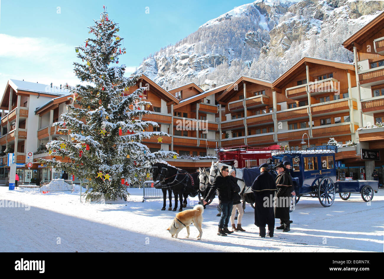 Horse and Carriage, Zermatt, Switzerland Stock Photo Alamy