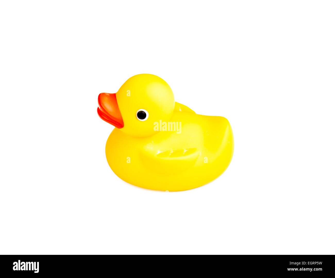 Yellow Rubber Duck on White Background Stock Photo - Alamy