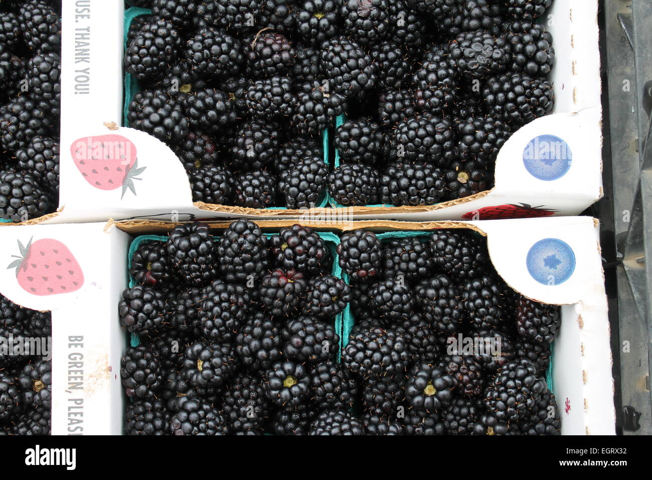 blackberries for sale at farmers market Stock Photo