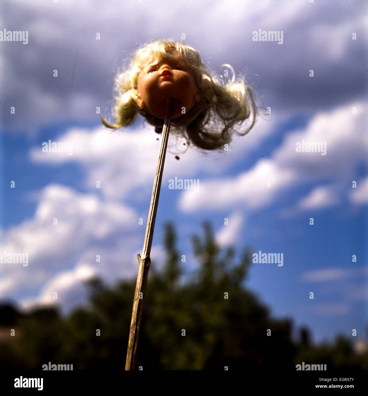 Broken doll head on stick in cloudy landscape Stock Photo - Alamy