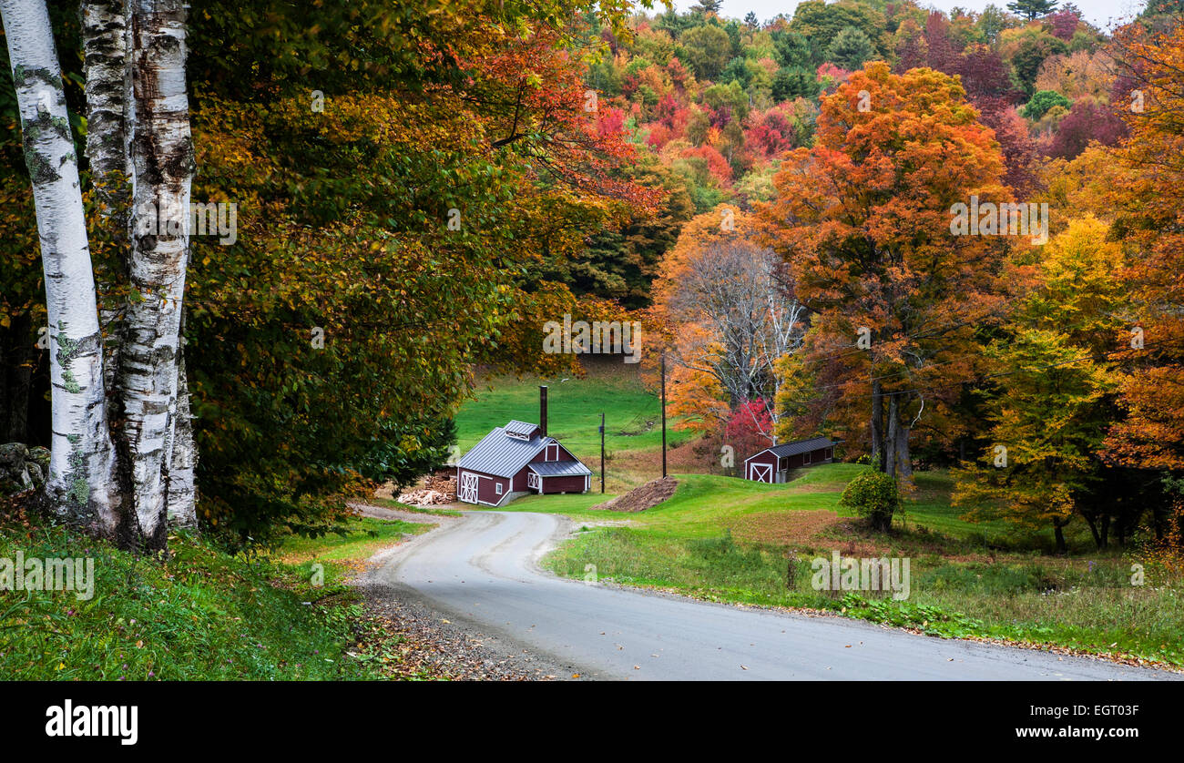Rural Vermont maple syrup farm sugar shack, forest trees on a winding