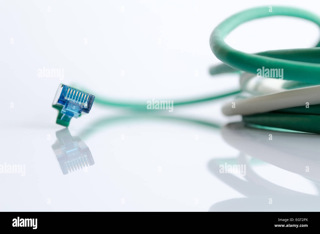 Green network cable on white Stock Photo - Alamy