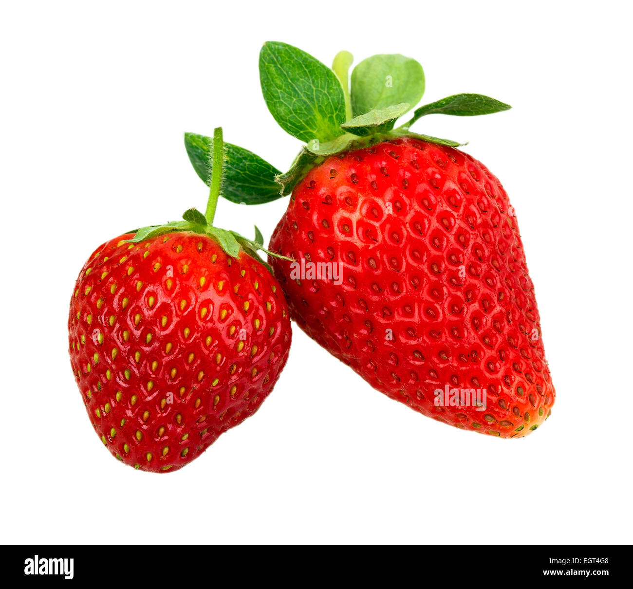 strawberries isolated on white background Stock Photo - Alamy