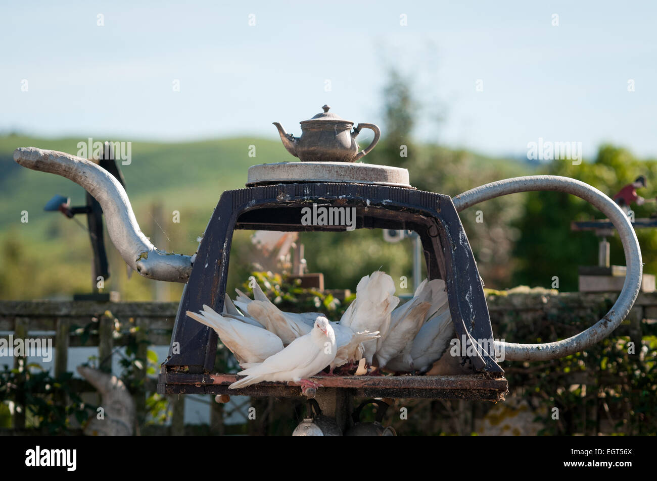 Teapotland, Owaka Highway, Owaka, South Otago, South Island, New