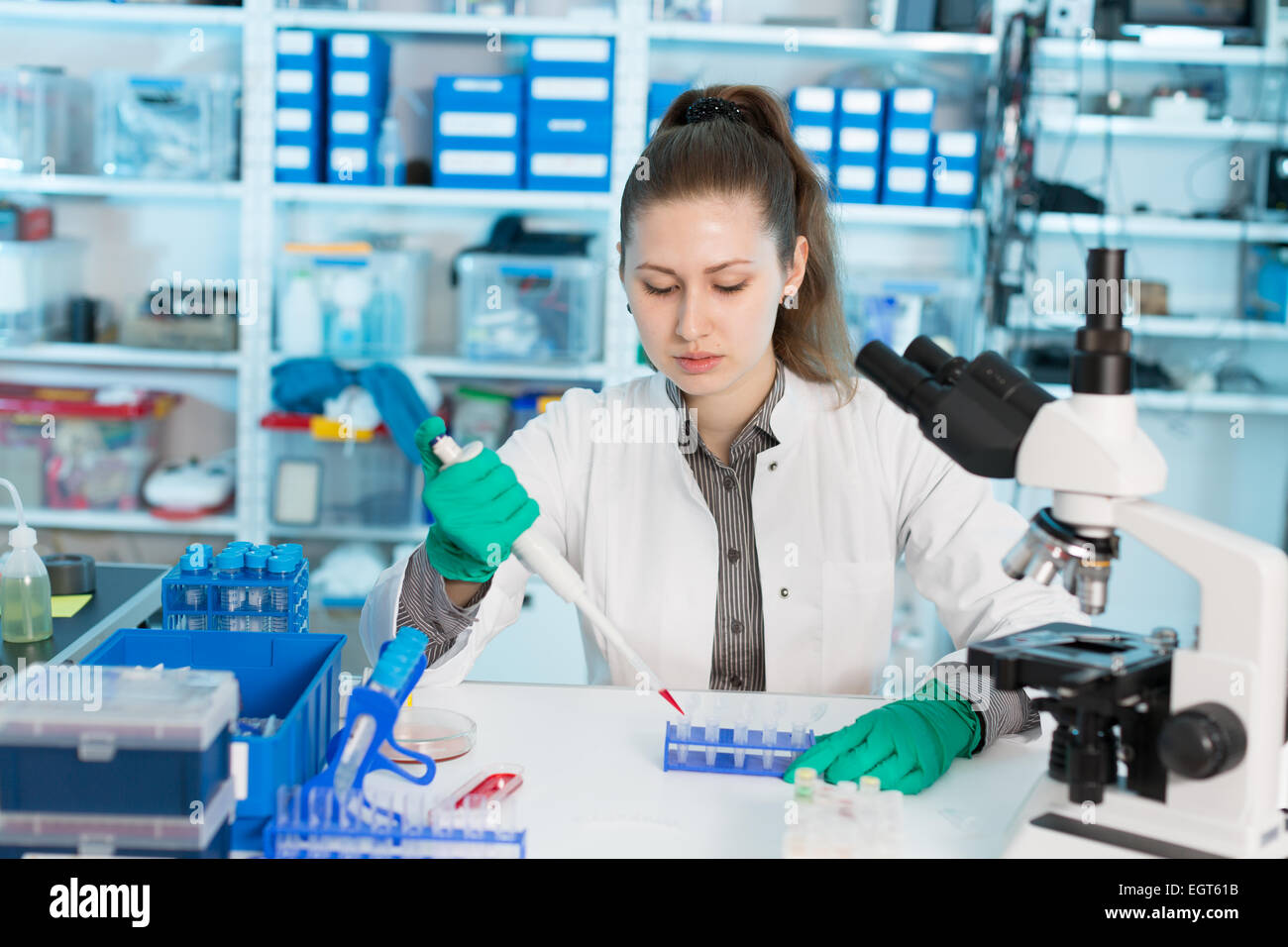 young women science professional pipetting solution into the glass test tube. Stock Photo