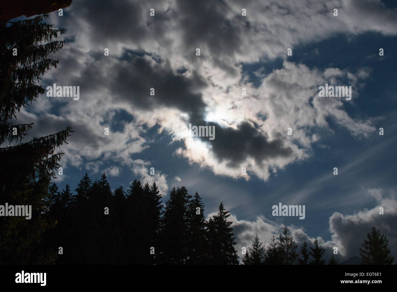 Night sky and trees Stock Photo