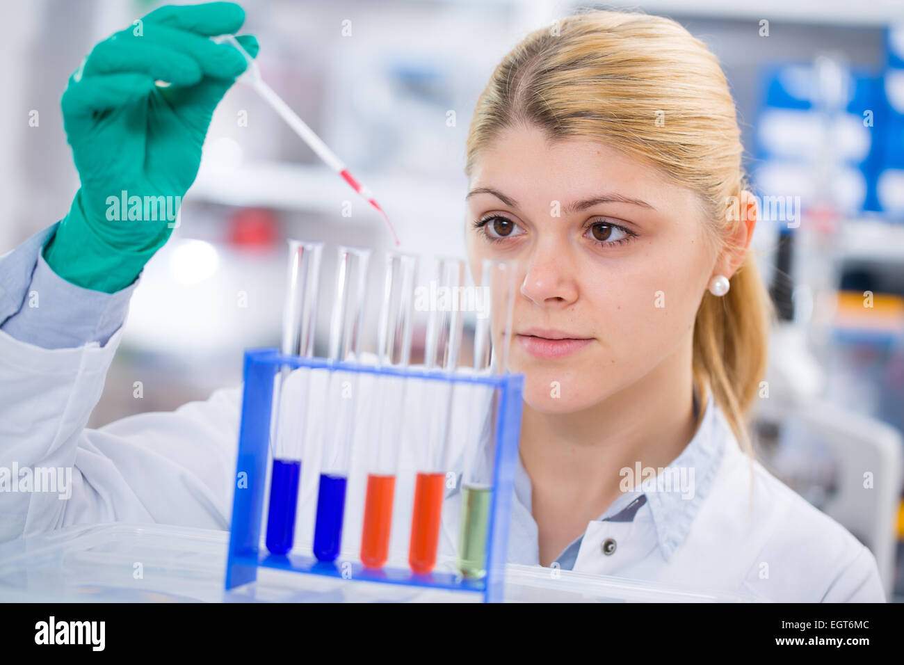 young women science professional pipetting solution into the glass test tube. Stock Photo