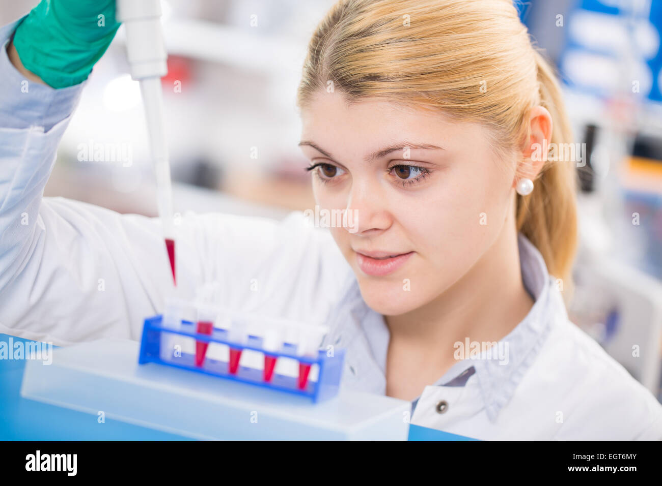 young women science professional pipetting solution into the glass test tube. Stock Photo
