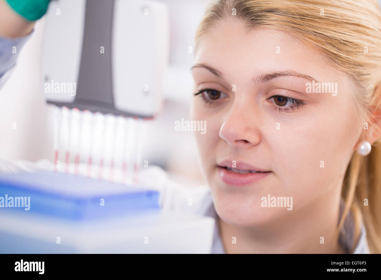 young women science professional pipetting solution into the glass test tube. Stock Photo