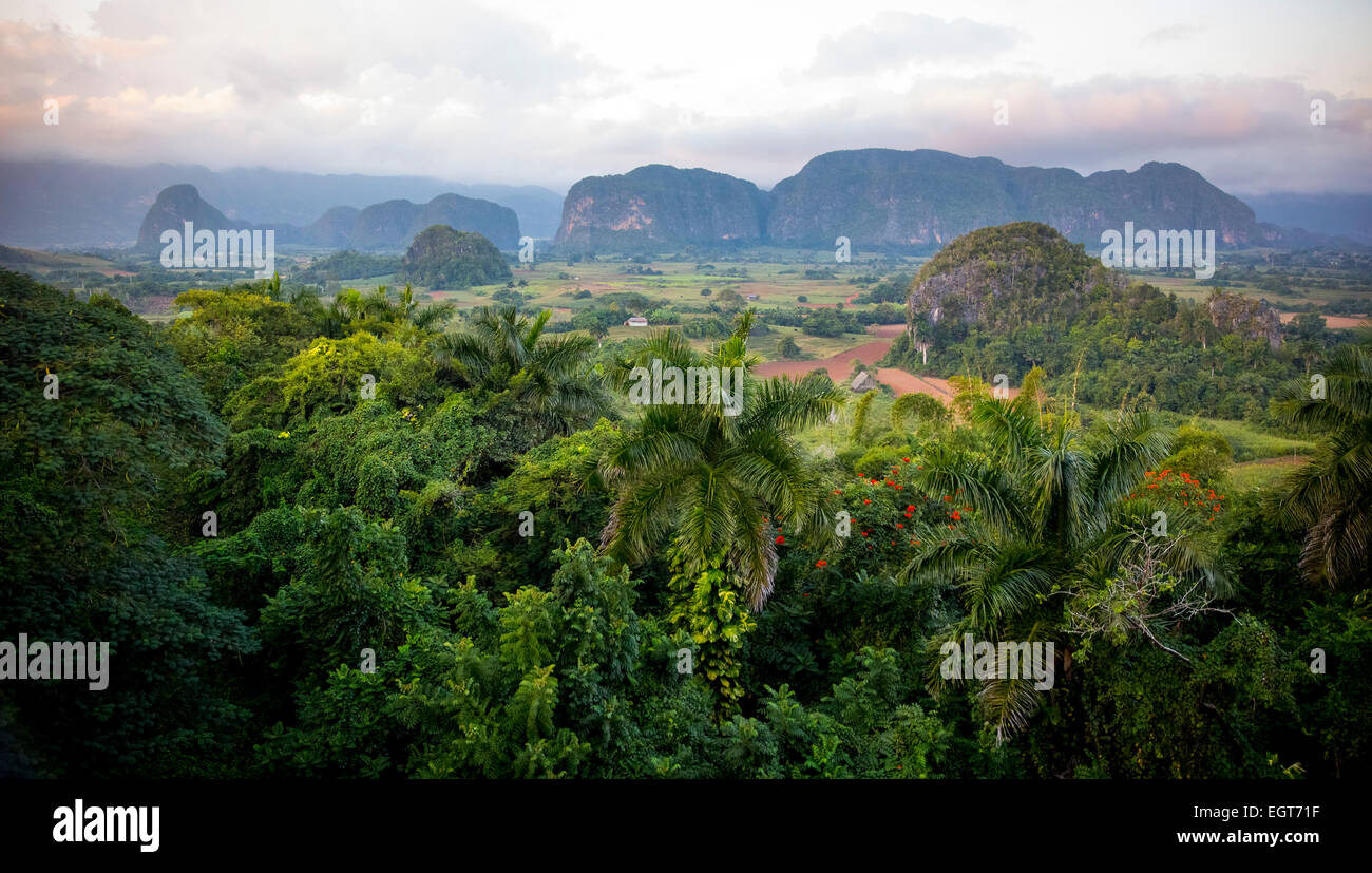 Viñales Valley with karst mountains, Viñales, Pinar del Rio Province, Cuba Stock Photo