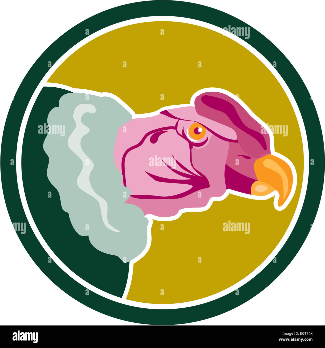 Illustration of a California Condor head viewed from side set inside ...
