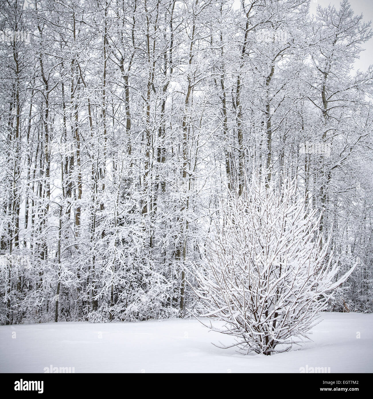 Winter seasonal landscape hi-res stock photography and images - Alamy