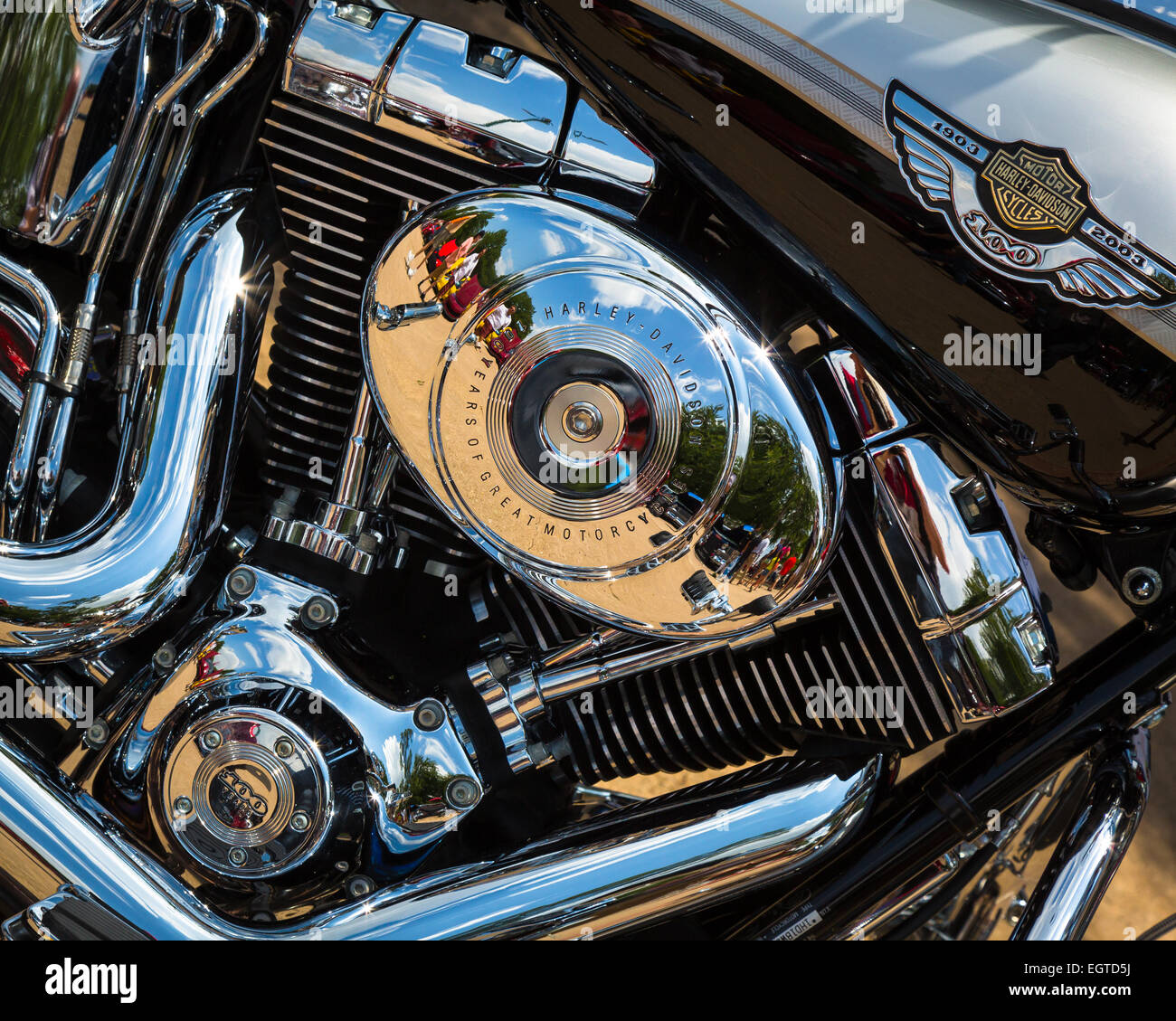 best cam for harley 110 motor