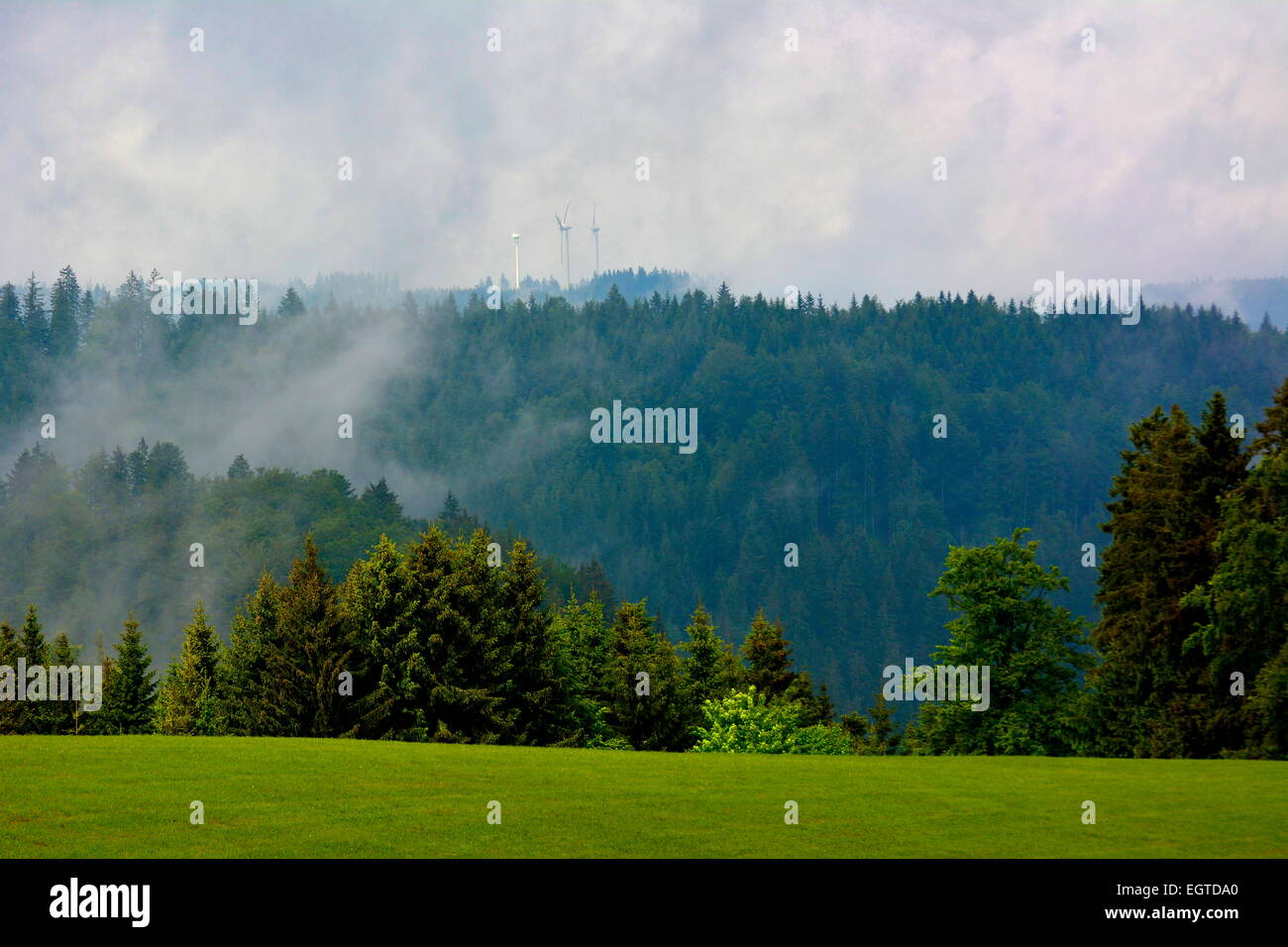 Black Forest, Baden-Wurttemberg, Black Forest, Steinbach, morning fog, wind turbines in the fog, Schwarzwald, Baden-Württemberg, Stock Photo