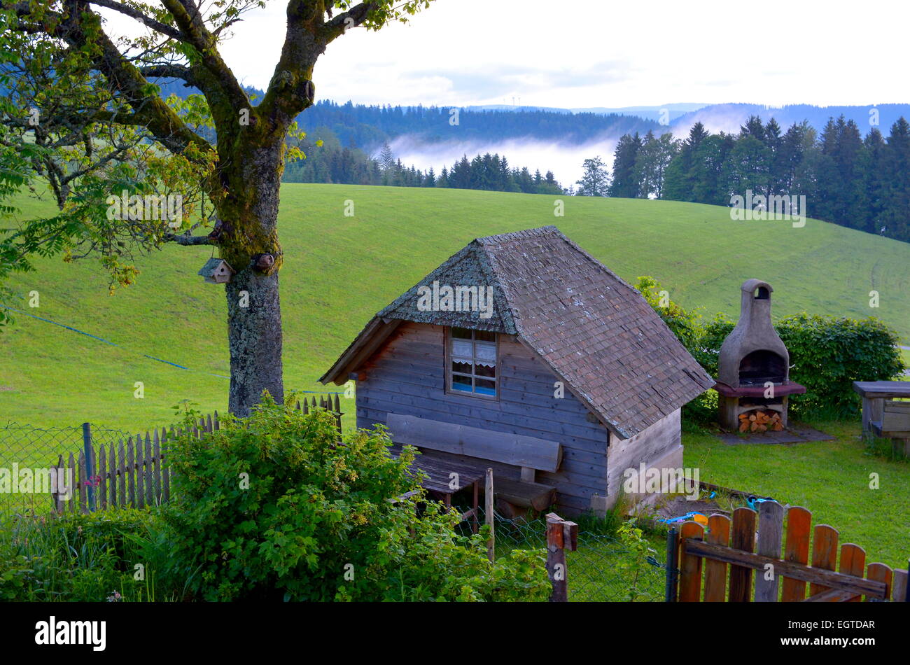 Black Forest, Baden-Wurttemberg, Black Forest, Steinbach, barbecue area with hut, near St. Margen, Schwarzwald, Baden-Württember Stock Photo