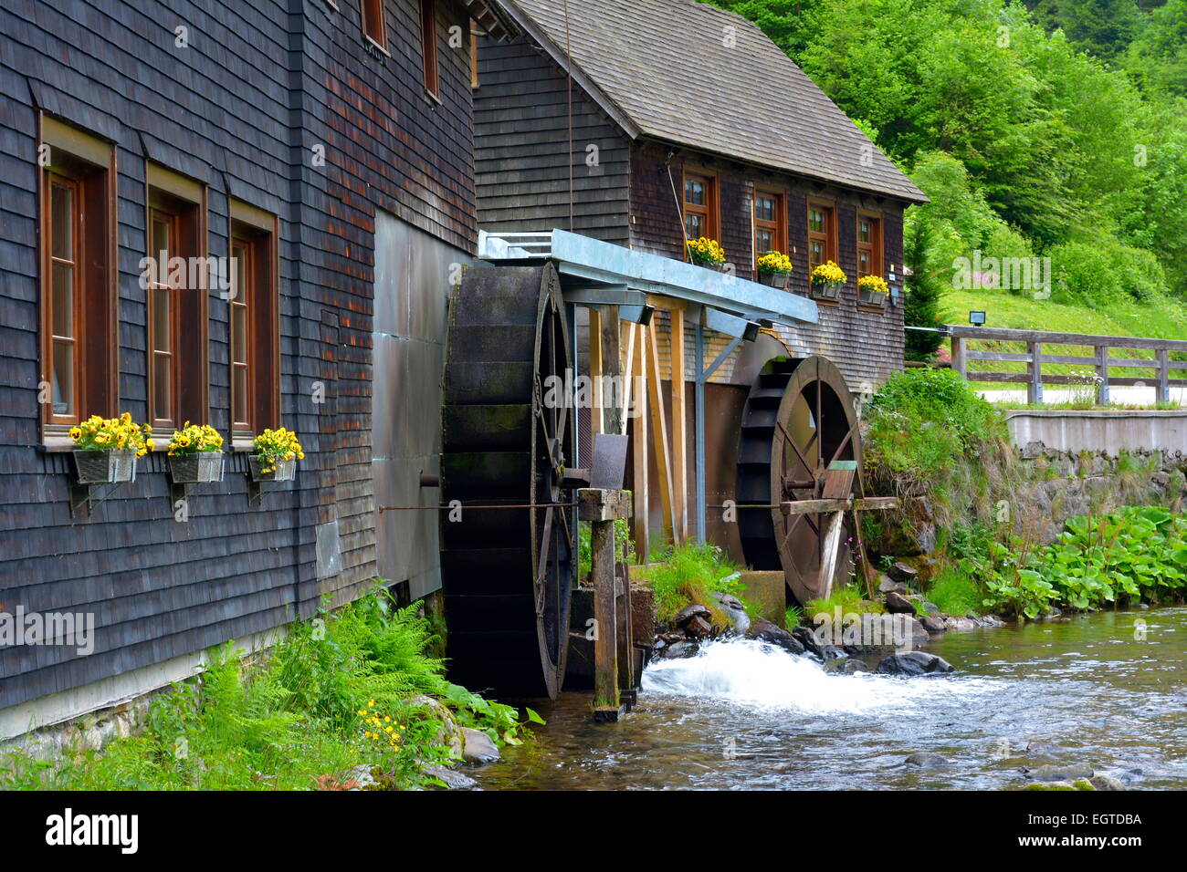 Baden-Wurttemberg, Black Forest, witches hole mill, Schwarzwald, Baden-Württemberg,  Hochschwarzwald, Hexenlochmühle, Stock Photo