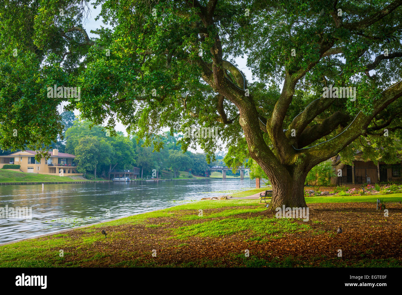 Natchitoches is a city in and the parish seat of Natchitoches Parish