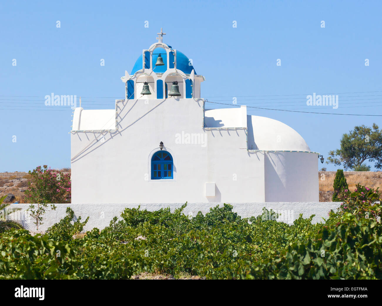 Church with blue dome in vineyard field. Santorini island. Greece. Stock Photo
