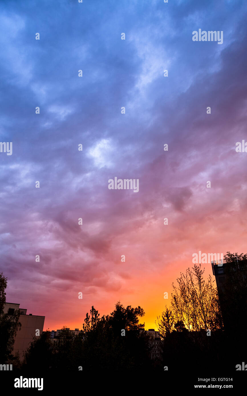 Beautiful sunset sky and tree silhouettes Stock Photo