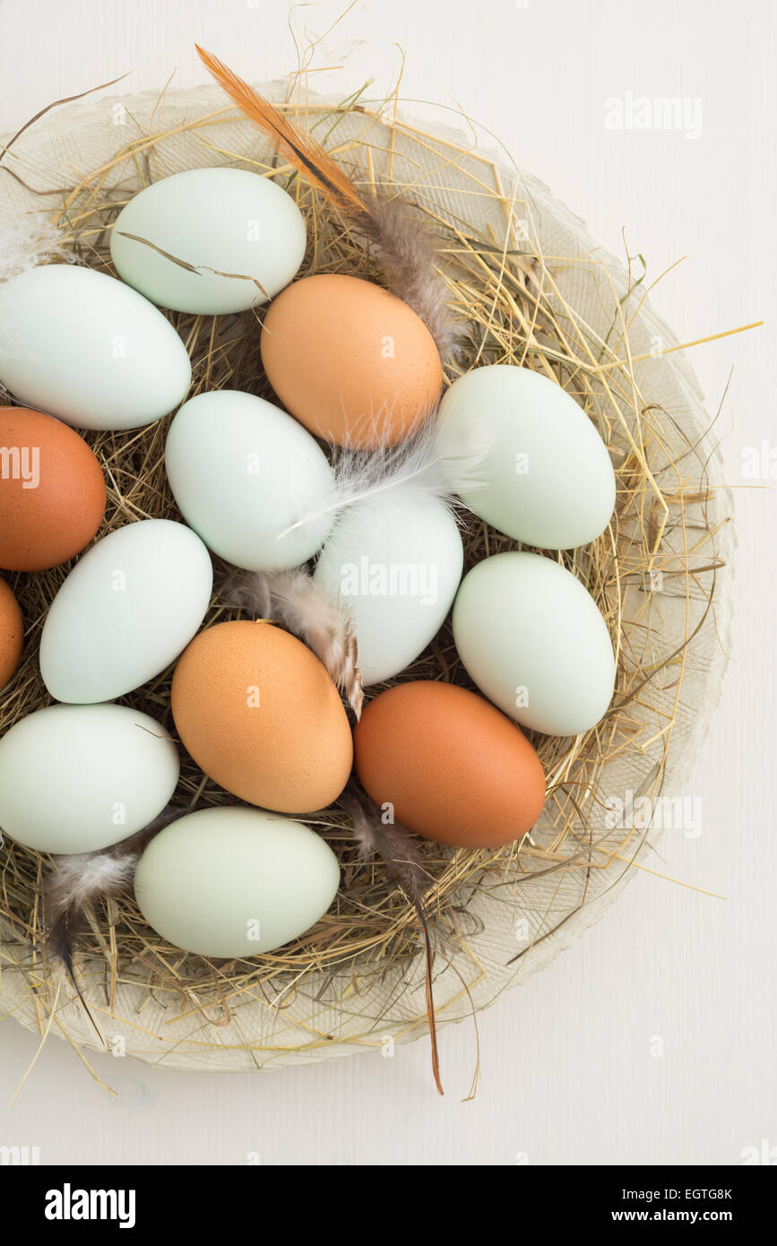 Fresh light green eggs from Easter egger chicken and brown eggs in a nest made of straw on a plate Stock Photo
