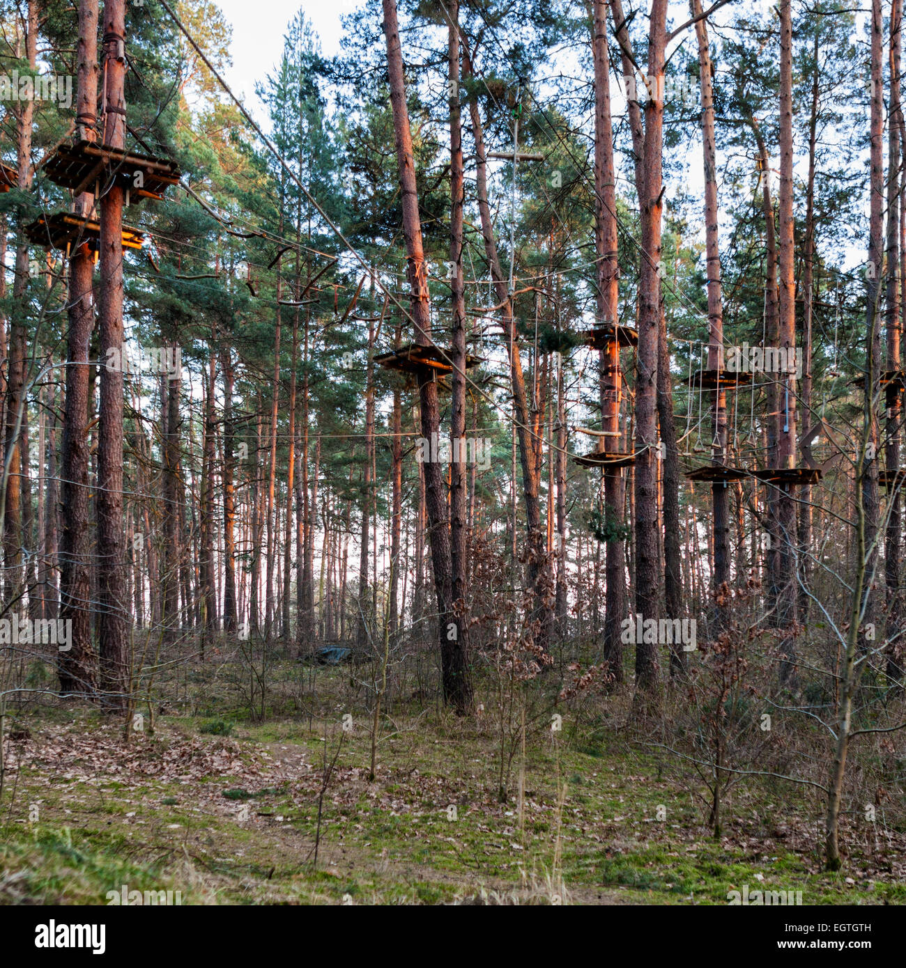 Kletterwald Schorfheide Germany - Rope Climbing course In a forest the ...