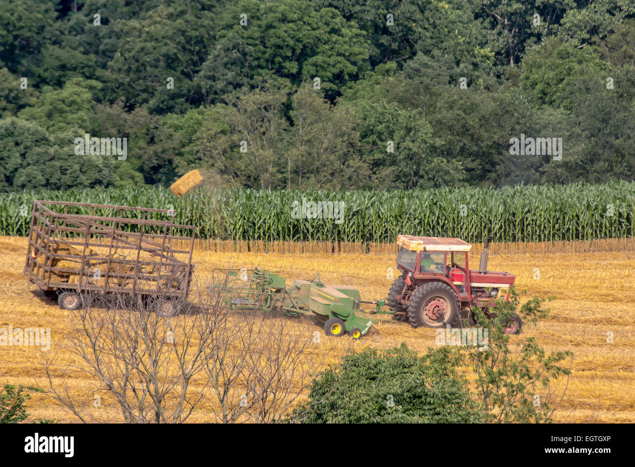 Hay baler tossing a bale of hay into a trailer. A tractor is pulling