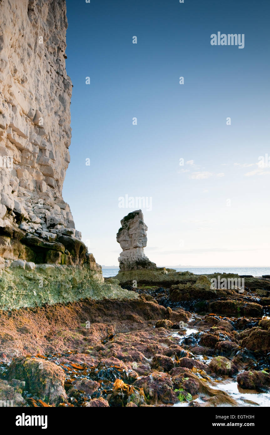 Old Harry Rocks, Purbeck Coast, Dorset Stock Photo - Alamy