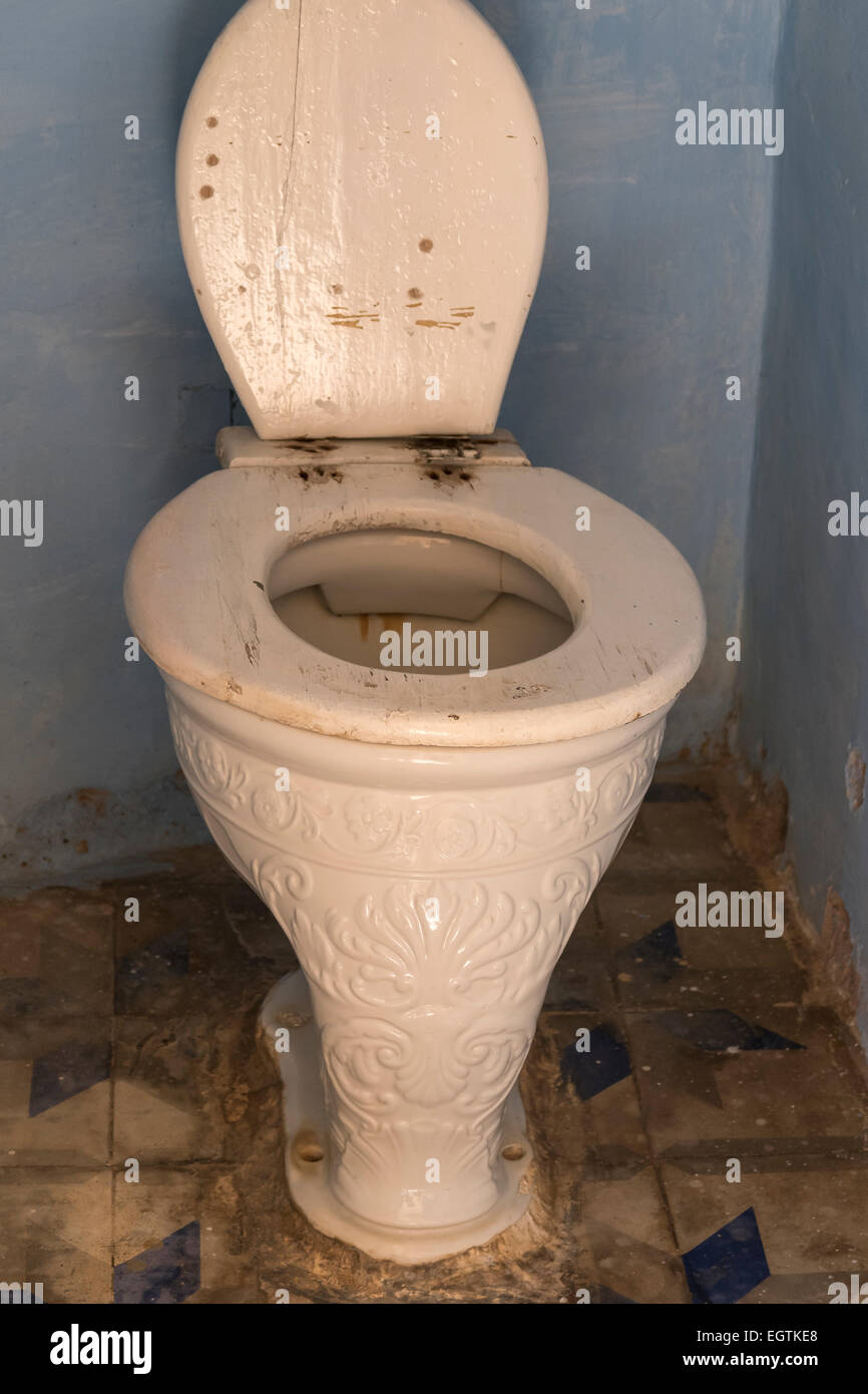Ornate 19th century toilet with floral designs in the porcelain, Museo de Arquitectura Colonial, Trinidad, Cuba. Stock Photo