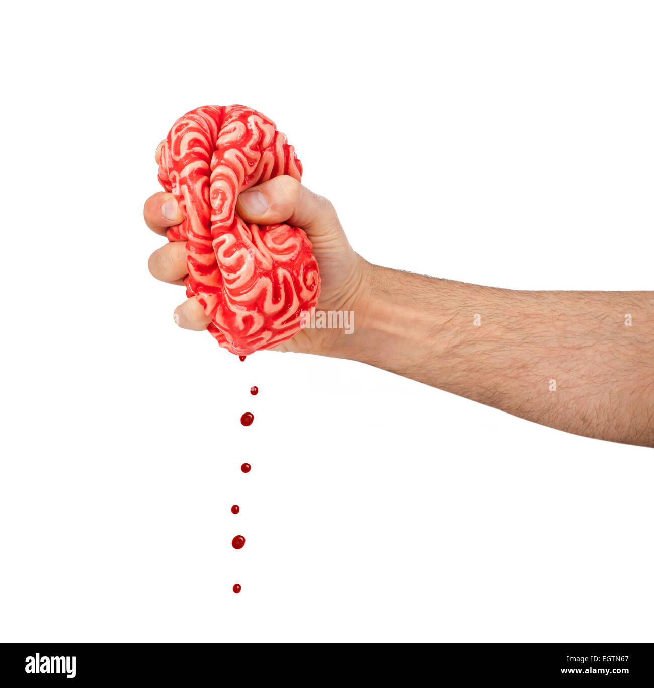 Hand squeezes a rubber brain, metaphor of the concept squeeze the brain. Stock Photo