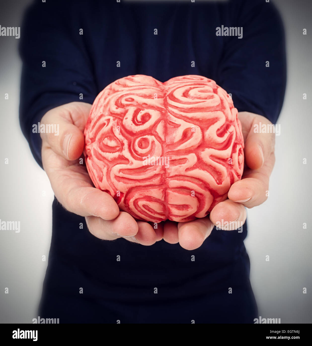 Human rubber brain between the hands on white. Stock Photo
