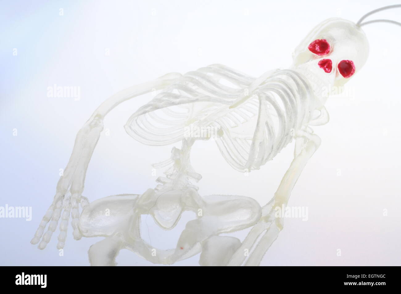 Close up of Plastic skeleton for Halloween on light background Stock Photo