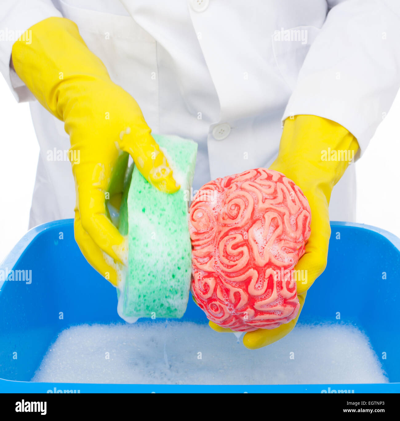 Metaphor of brainwashing, doctor washes the brain with the sponge. Stock Photo
