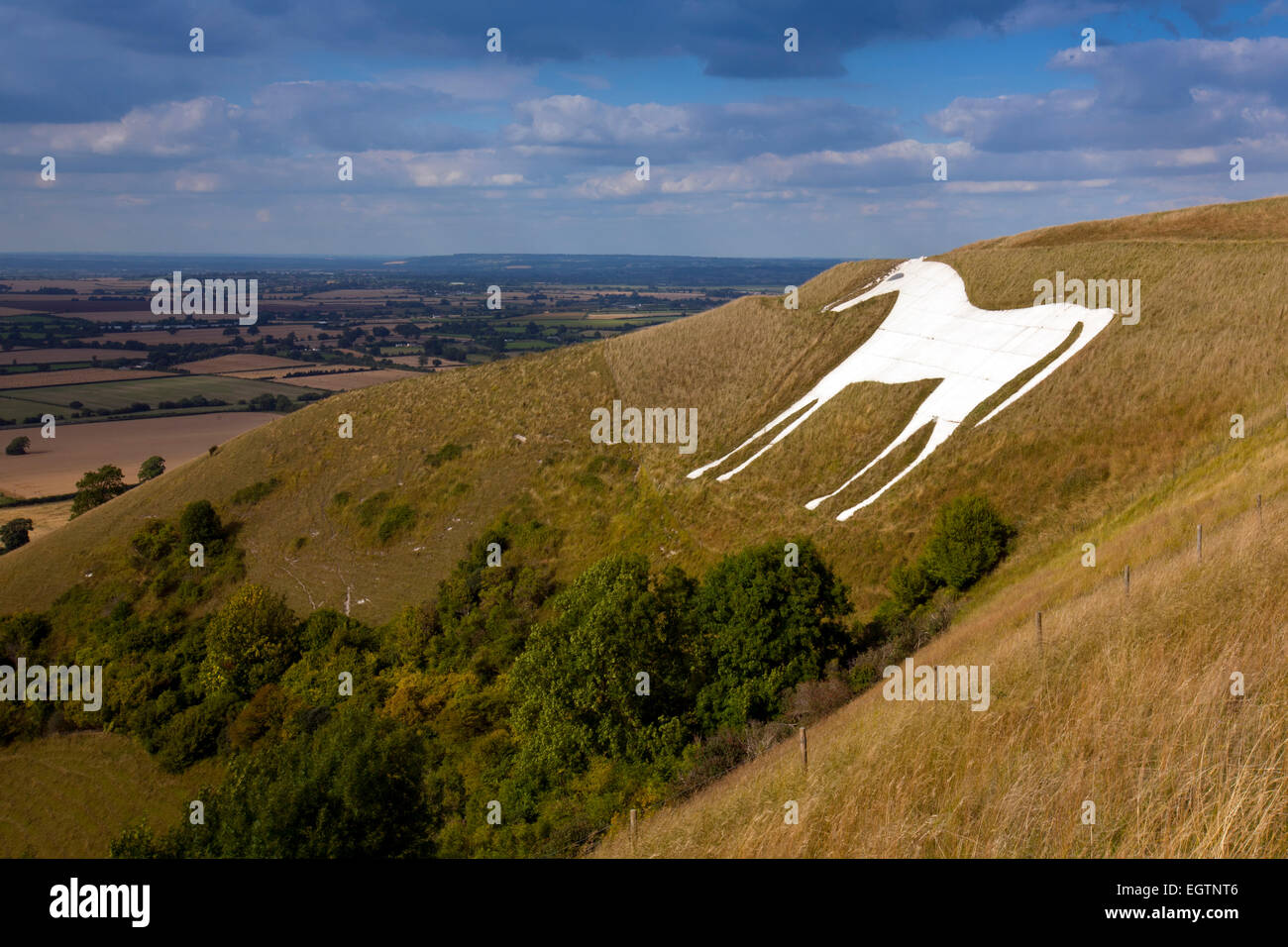 A landscape view of the Westbury White Horse on the edge of Bratton Downs, Wiltshire, England Stock Photo