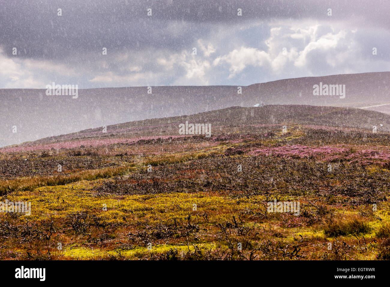 Rain over moors near Westerdale, North York Moors National Park, North Yorkshire, England, United Kingdom, Europe. Stock Photo