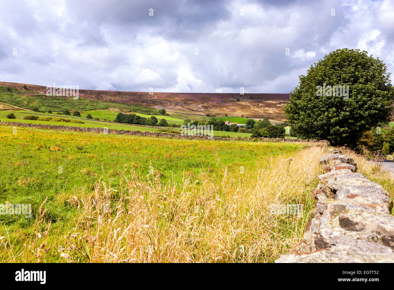 A view over Great Fryup Dale near Danby, North York Moors National Park, North Yorkshire, England, United Kingdom, Europe. Stock Photo