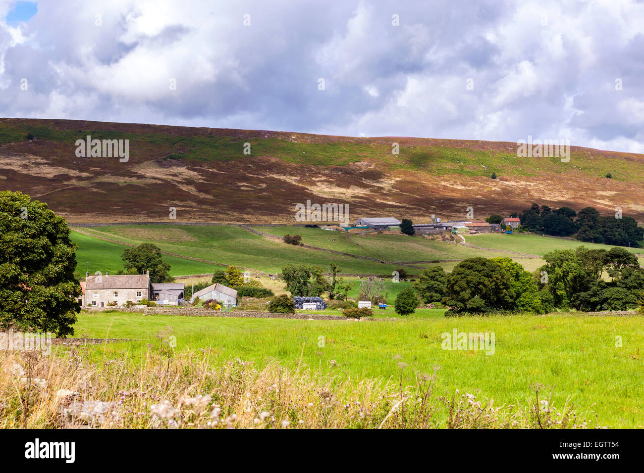 A view over Great Fryup Dale near Danby, North York Moors National Park