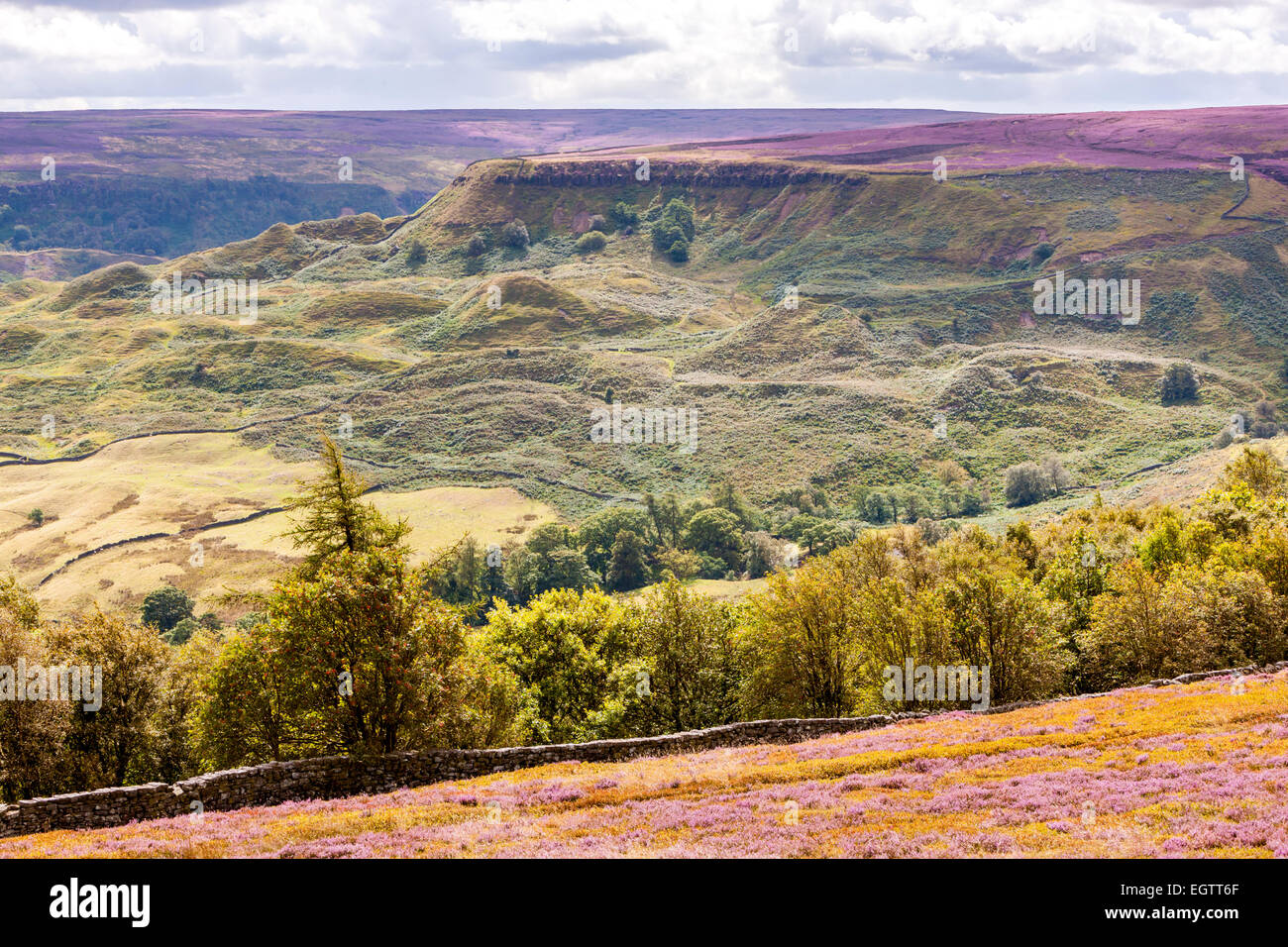 A view over Great Fryup Dale near Danby, North York Moors National Park