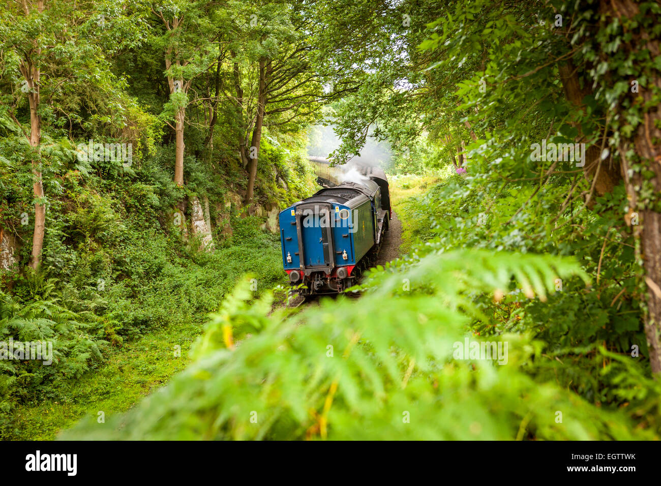 A steam locomotive 60007 Sir Nigel Gresley on the North Yorkshire Moors Railway travelling through Beck Hole. Stock Photo