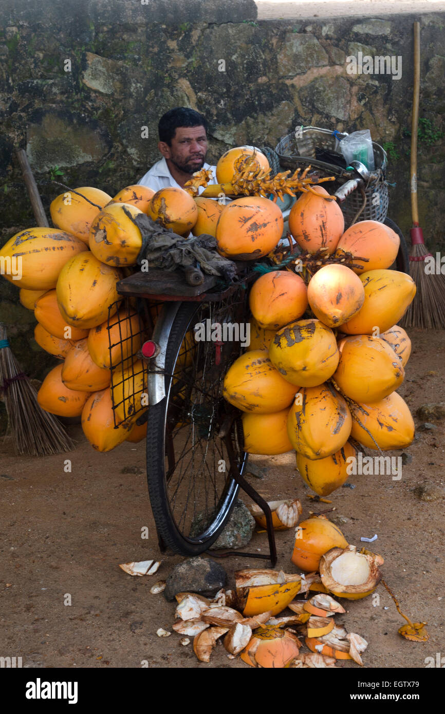 Coconut Vendor Stock Photos & Coconut Vendor Stock Images - Alamy