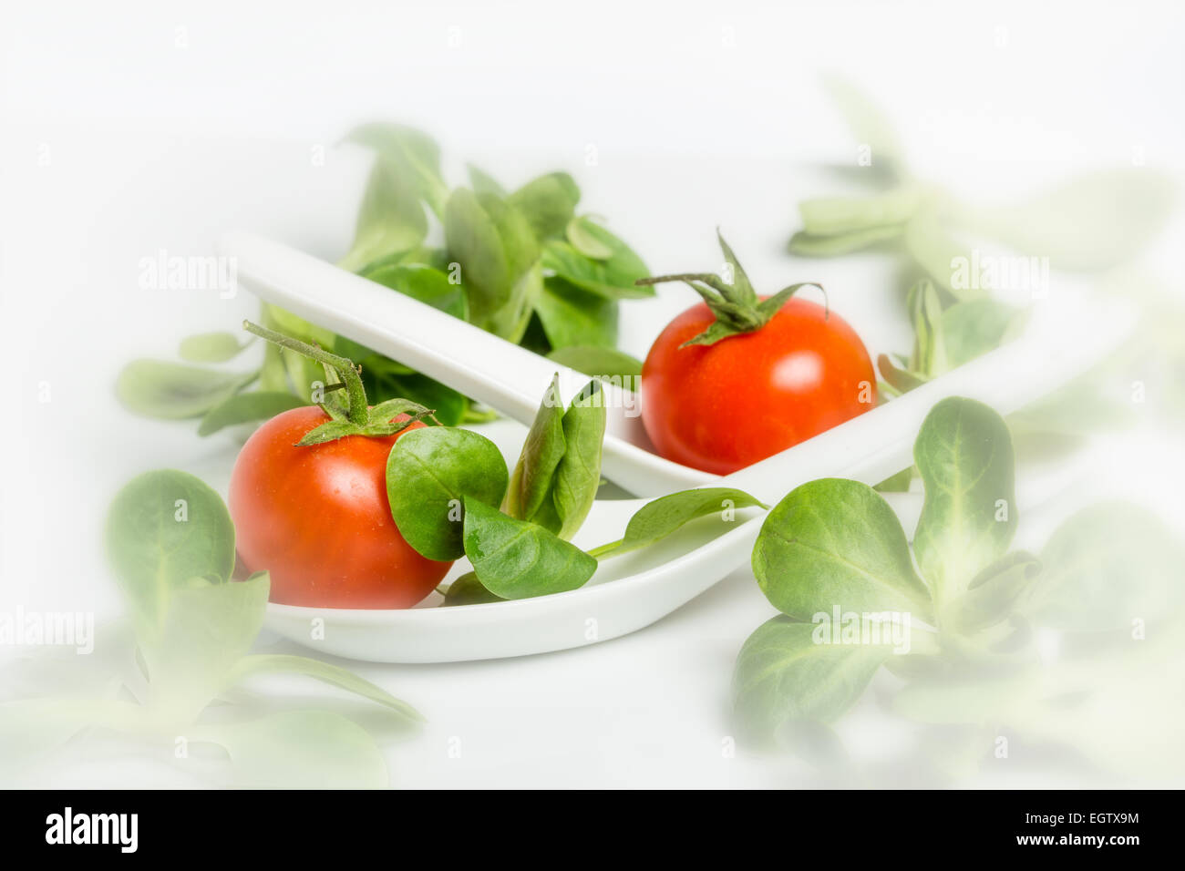 Valerianella locusta, corn salad, cherry tomato, lamb's lettuce on white background Stock Photo