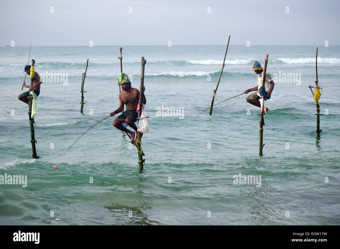Stilt fishermen in Koggala, Sri Lanka Stock Photo - Alamy