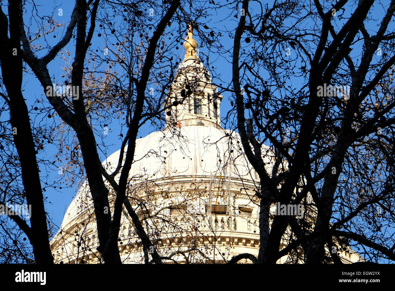 A close-up view of St Paul's cathedral dome surrounded by trees Stock Photo
