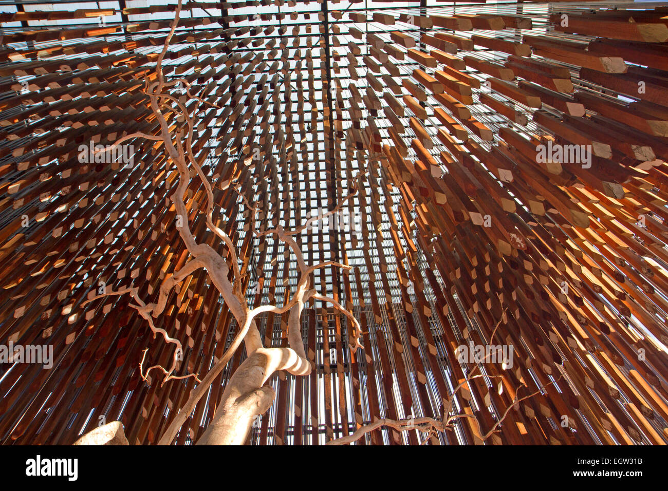 The Tree of Knowledge, said to be the birthplace of the Australian Labor Party Stock Photo