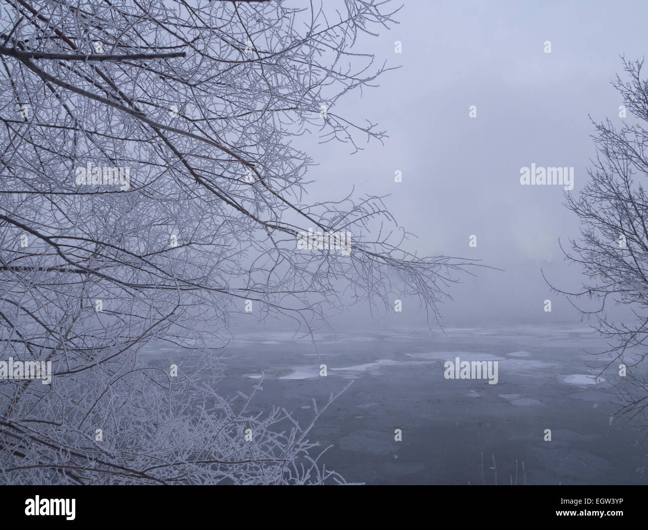 Fog on the river on an overcast day in winter Stock Photo