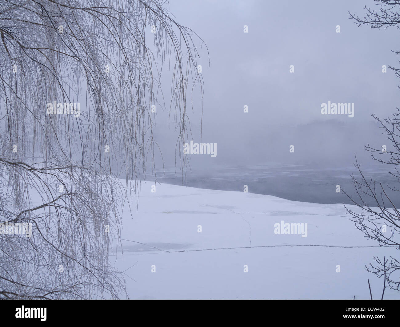Fog on the river on an overcast day in winter Stock Photo
