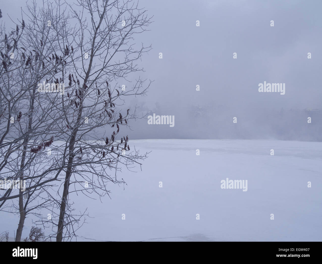 Fog on the river on an overcast day in winter Stock Photo