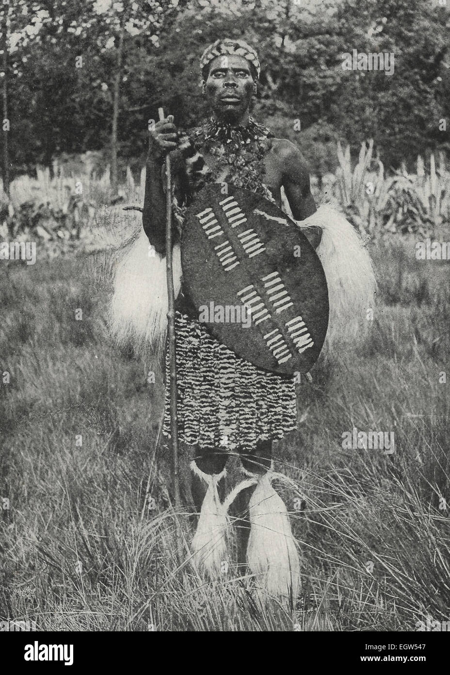Chief Teteluki - Natal   Zulu Warrior, circa 1899 Stock Photo
