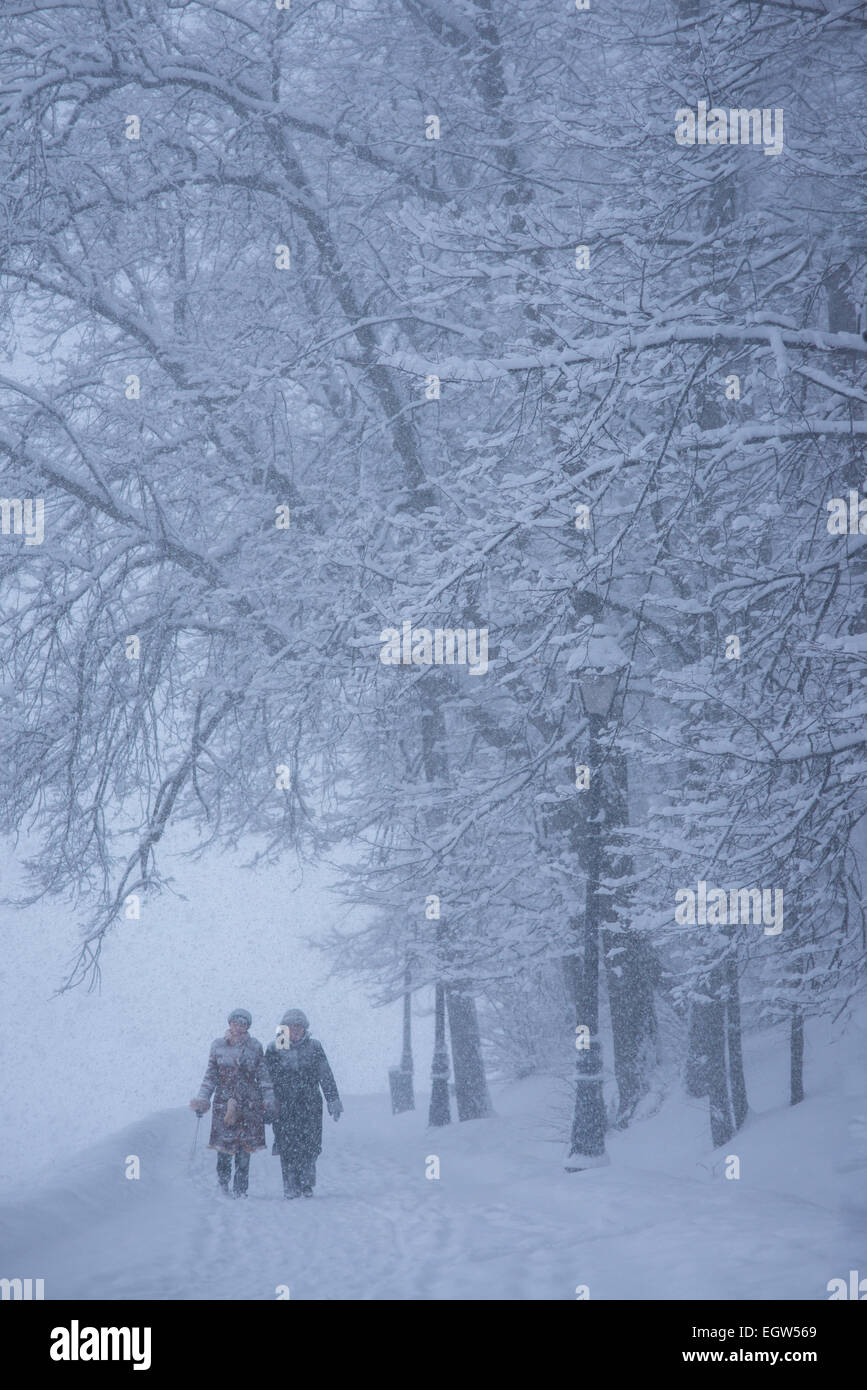 two women are walking in the snowy day Stock Photo - Alamy