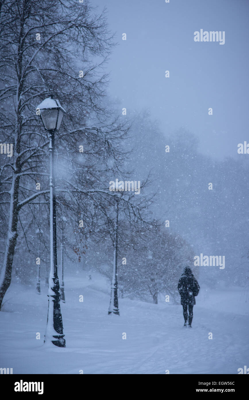 the walking woman in the snowy park Stock Photo - Alamy