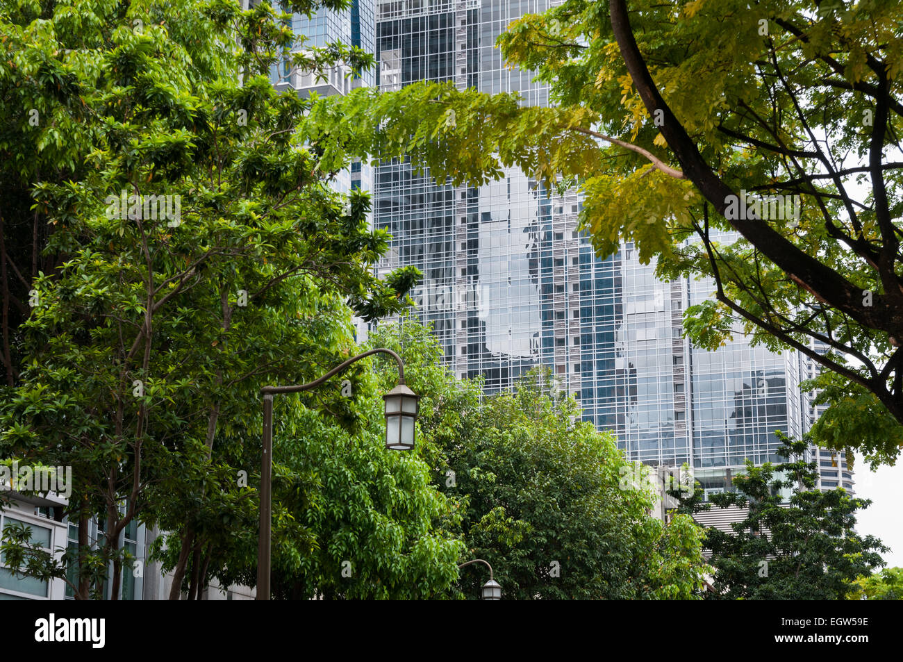 Trees and a skyscraper, Telok Ayer Street, Singapore Stock Photo Alamy